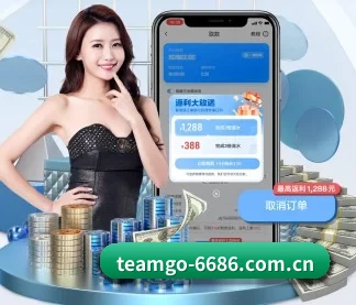 技术升级