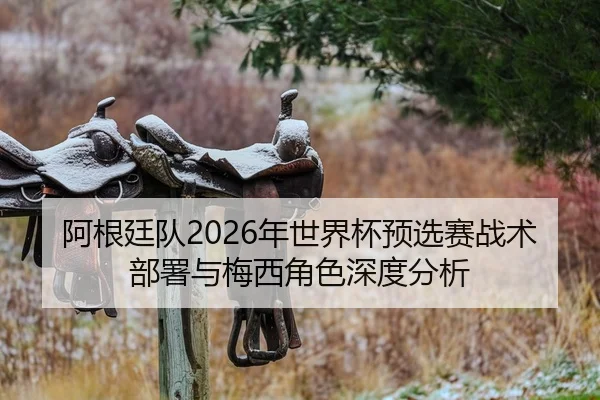 阿根廷队2026年世界杯预选赛战术部署与梅西角色深度分析