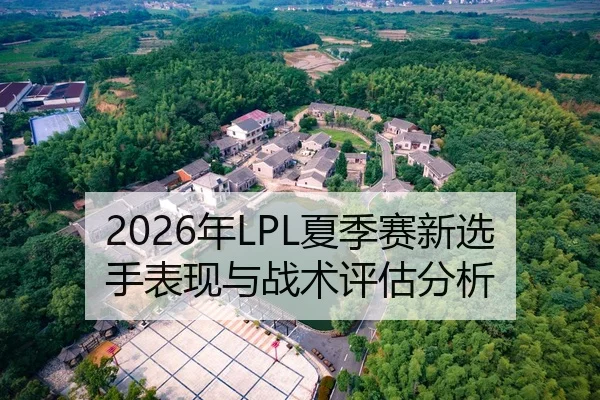 2026年LPL夏季赛新选手表现与战术评估分析
