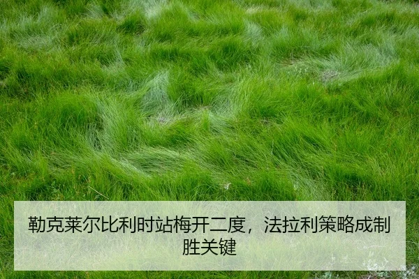 lei-ke-lai-er-bi-li-shi-zhan-mei-kai-er-du-fa-la-li-ce-lve-cheng-zhi-sheng-guan-jian-2-307.jpg