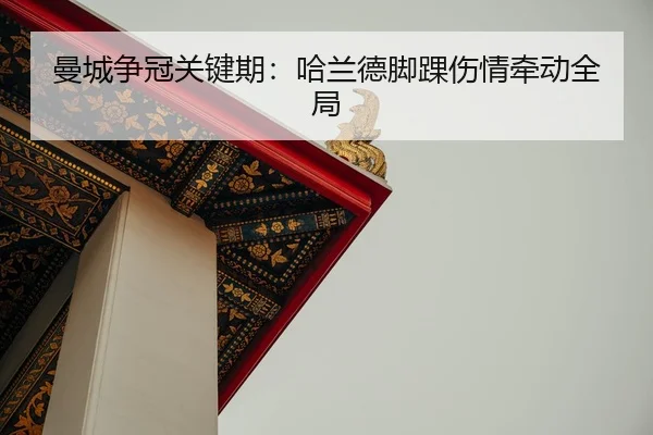 man-cheng-zheng-guan-guan-jian-qi-ha-lan-de-jiao-huai-shang-qing-qian-dong-quan-ju-2-989.jpg