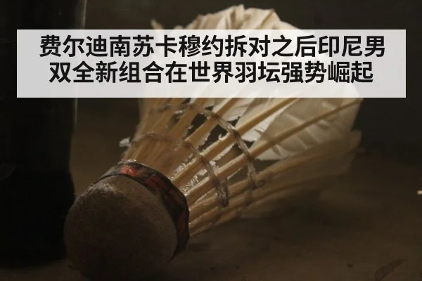 费尔迪南苏卡穆约拆对之后印尼男双全新组合在世界羽坛强势崛起