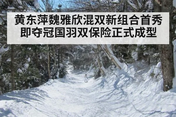 黄东萍魏雅欣混双新组合首秀即夺冠国羽双保险正式成型